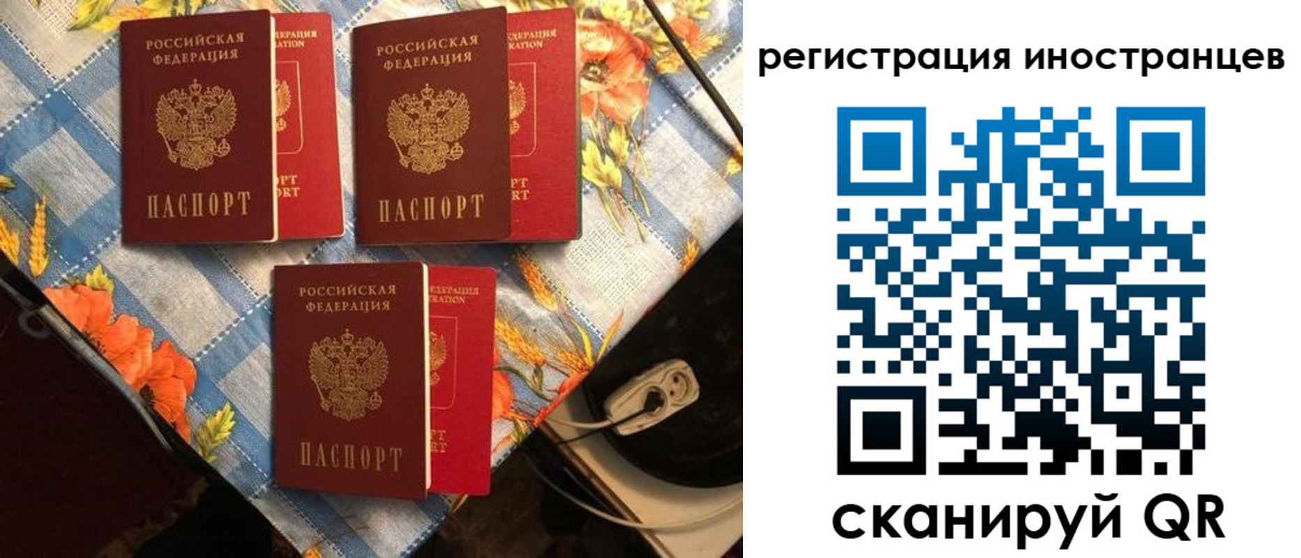прописка поиск в Жирновске